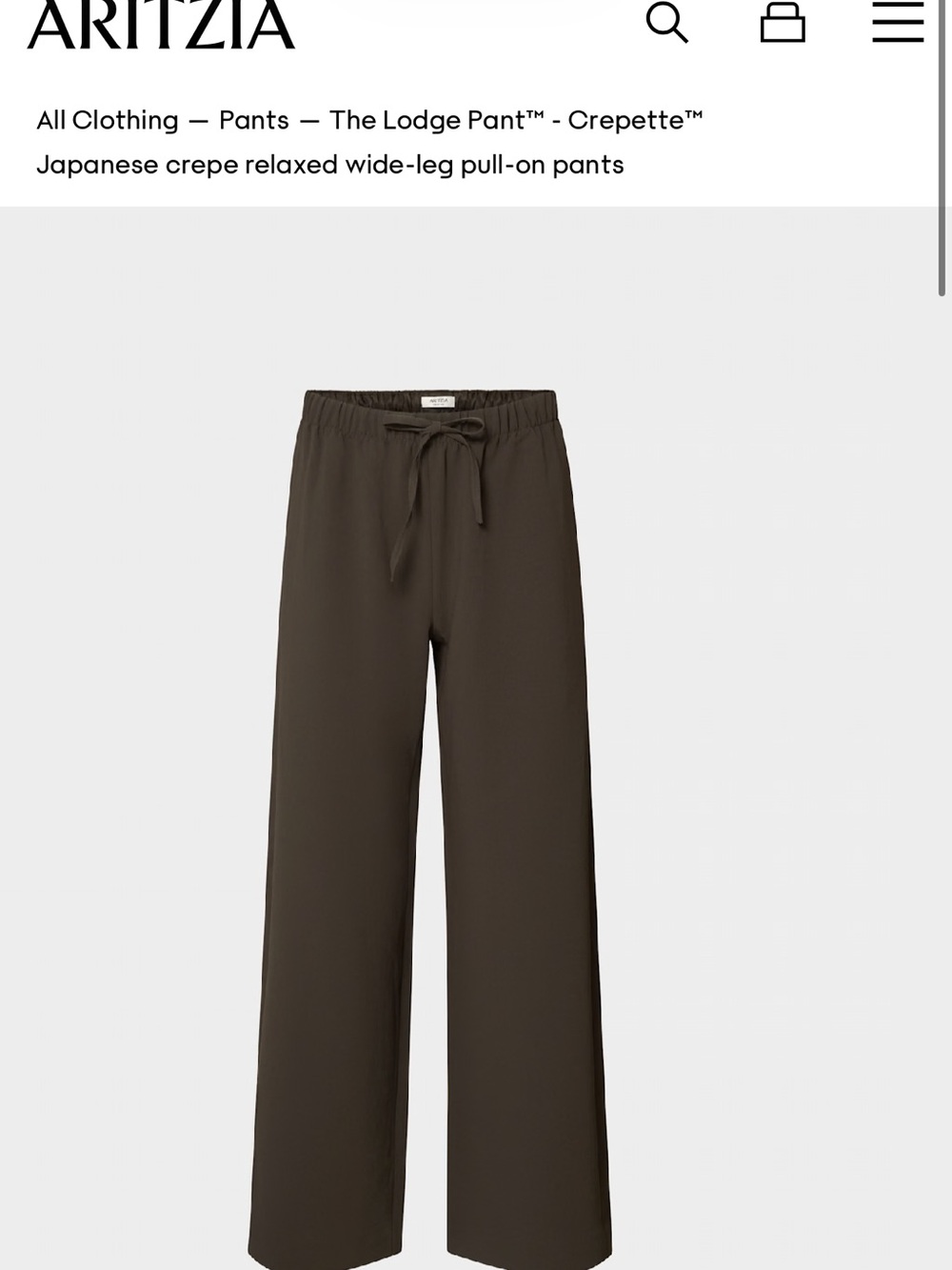 Aritzia Japanese Crepe Relaxed Wide-Leg Pants — Dark Brown